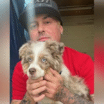 Colby Michael Spencer Obituary, Death IL: Sterling Community Mourns the Loss of a Beloved Father, Son, and Friend