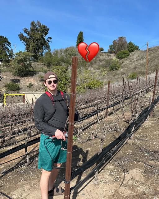Steven Fetzer Oceanside CA Death – Steven Fetzer Obituary – Steven Fetzer of Beach House Winery Dies Following Tragic Incident