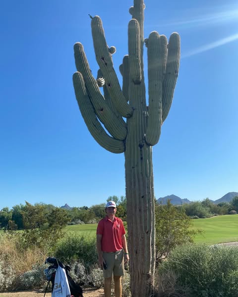 Stephen Scott Death – Stephen Scott Obituary – Stephen Scott, Member of Sandridge Golf Club Passed Away in Fatal Car Accident